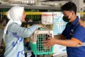 KAI Provides Pet Transport Service for Homecoming Passengers